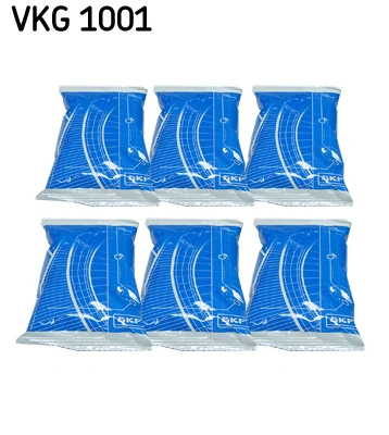 VKG1001 SKF