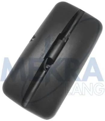Купити 5001856292 Renault (RVI) Дзеркало заднього виду