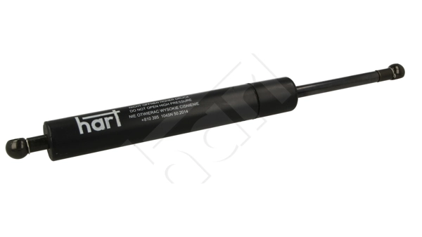 Амортизатор кришки багажника Magneti Marelli 430719075000