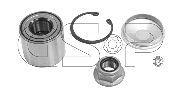 Купити Підшипник задньої ступиці Renault Scenic II JM0, JM1