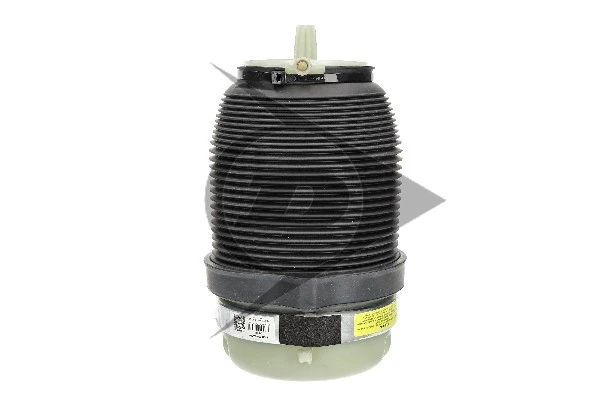 Пневморессора задня Dunlop 71037 ціна, від 174.73 USD