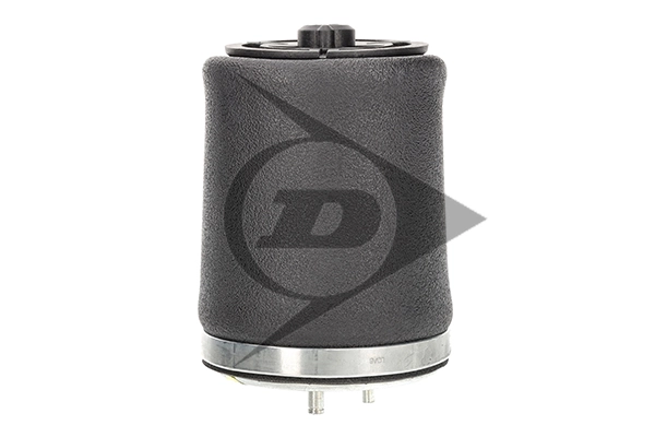 Пневморессора задня Dunlop 71099 ціна, від 88.27 USD