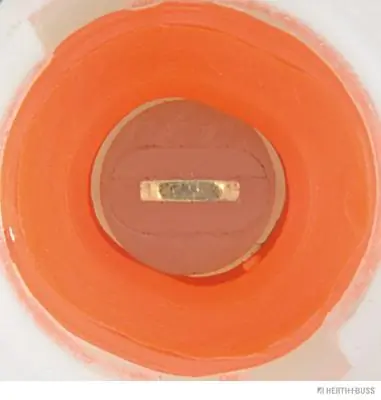 Манометри (показник тиску масла) Formpart/Otoform 22919001S ціна, від 3.56 USD
