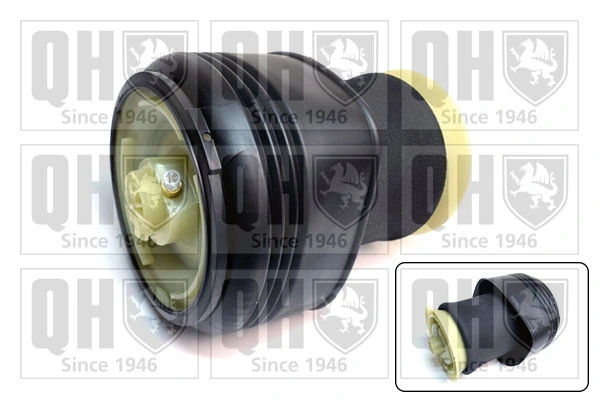 5078AB Magneti Marelli Пневмоподушка/пневморессора моста заднього