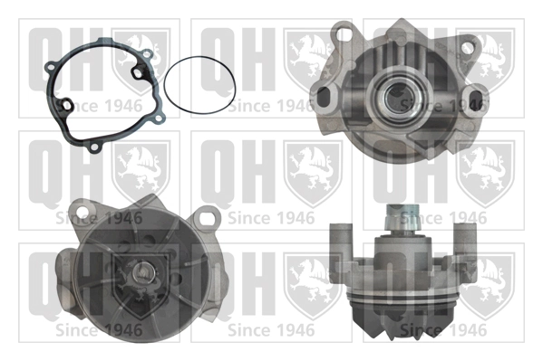 2101000QAD Renault (RVI) Насос охолодження