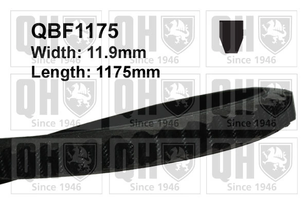 Купити SVB121170 AE Ремінь генератора
