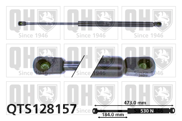 Купити ST0028DR Stabilus Амортизатор двері багажника