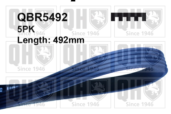 Клиновий ремінь Volkswagen Jetta VI седан (162, 163, AV3, AV2, AY2, AY3) (2011 - 2019) ціна, від 9.69 USD