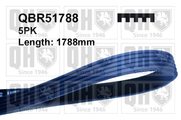 Клиновий ремінь Mercedes A0019932896 ціна, від 10.70 USD