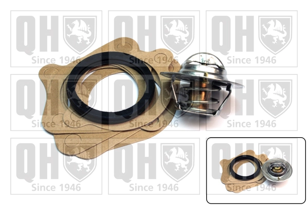Купити TE0037 Magneti Marelli Термостат в корпусі