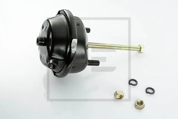 Камера гальмівна 0834483 DAF