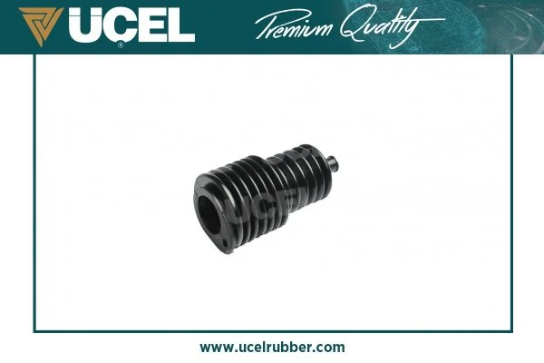 Купити Пильник рульової рейки Renault 19 I B53, C53