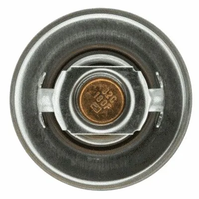 Термостат в зборі Magneti Marelli TE0078