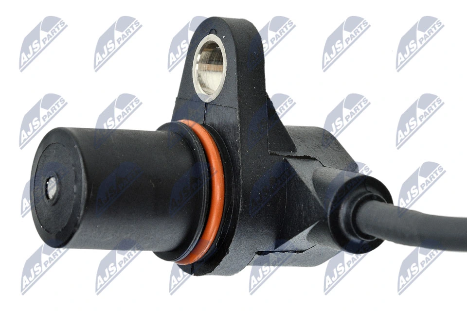 ECPAU010 NTY ДПКВ