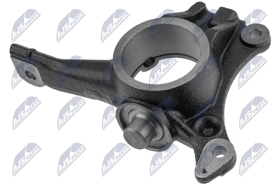 ZZPPE013 NTY Цапфа поворотного кулака