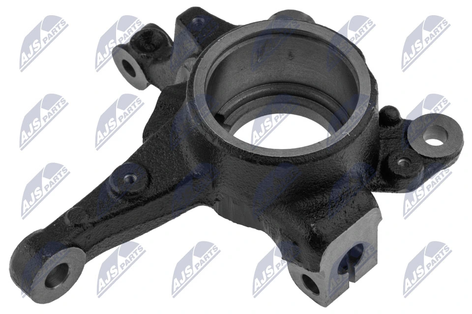 Цапфа - поворотний кулак передній, лівий Renault (RVI) 400157575R ціна, від 41.58 USD