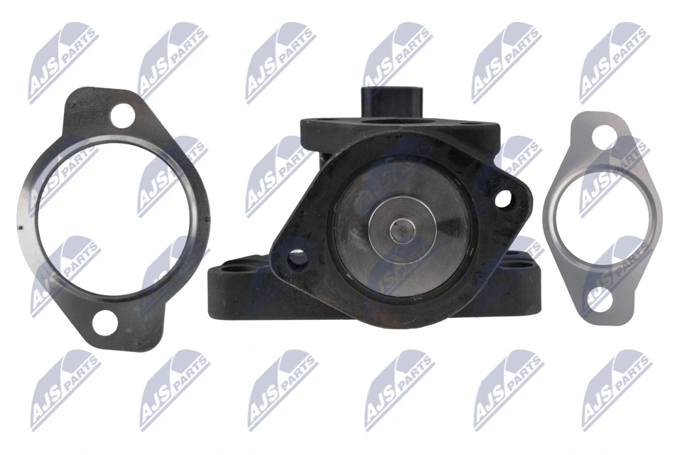 Купити EG1063712B1 Delphi Прилади управління системи рециркуляції