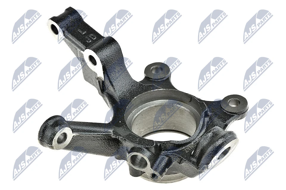 Купити 4211031200 Renault (RVI) Цапфа передня ліва