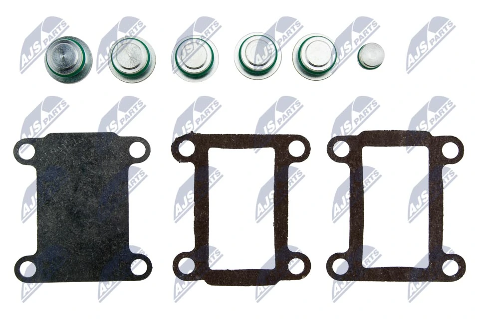 BKSFT005A NTY Колектор впускний