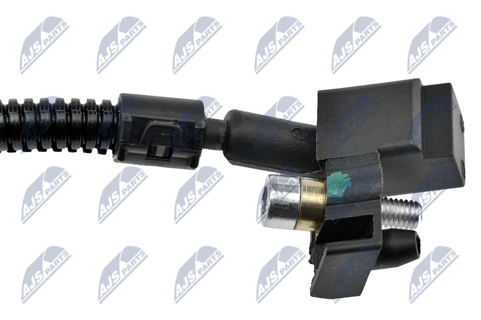 ECPAU031 NTY ДПКВ