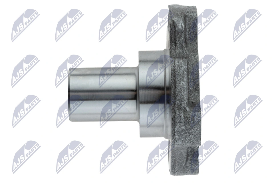 Цапфа - поворотний кулак задній NTY KLTVW013C ціна, від 11.95 USD