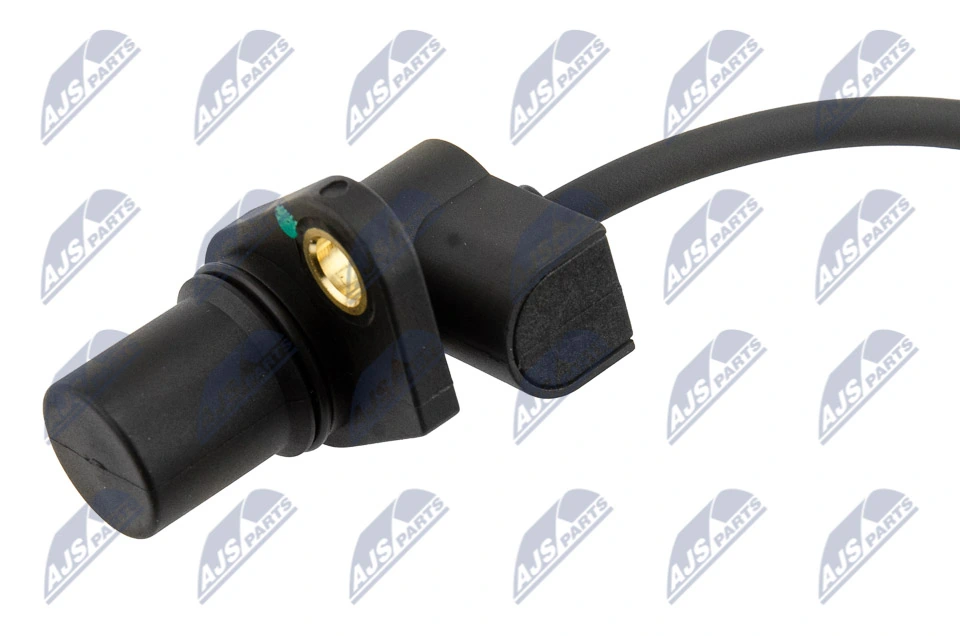 ECPHY021 NTY ДПКВ