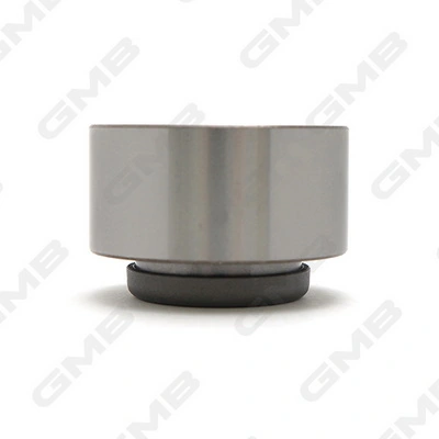 GT50520 GMB Ролик натягувач