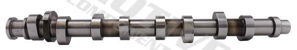 Купити 3M109039 AND Розподільчий вал двигуна