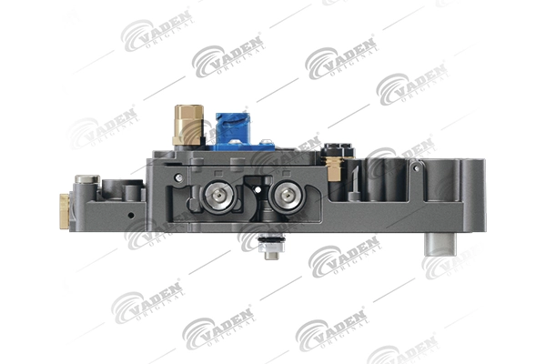 303110069 Vaden
