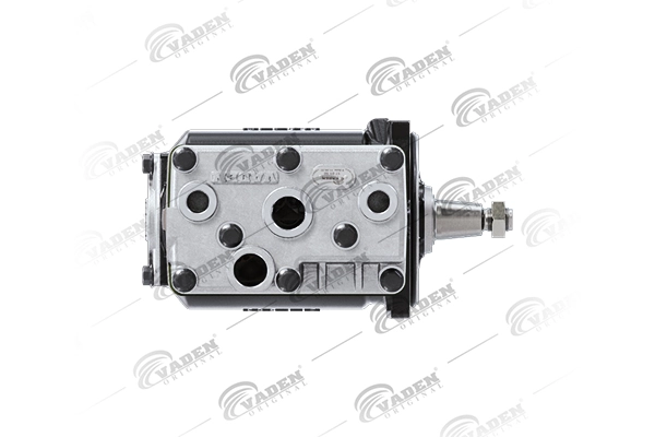  Vaden 1700010002