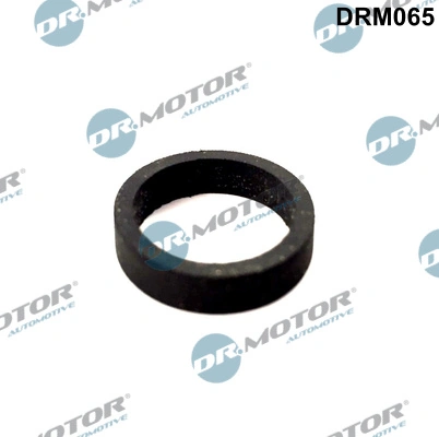 Купити Прокладка впускного колектора Renault Modus  JP0