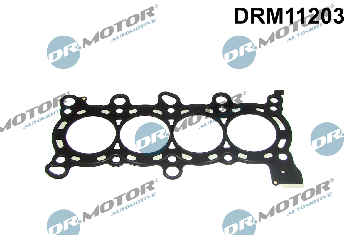 Прокладка ГБЦ 12251RNA004 NIPPON MOTORS