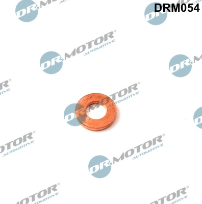 Купити Кільце форсунки Ford Focus I DNW