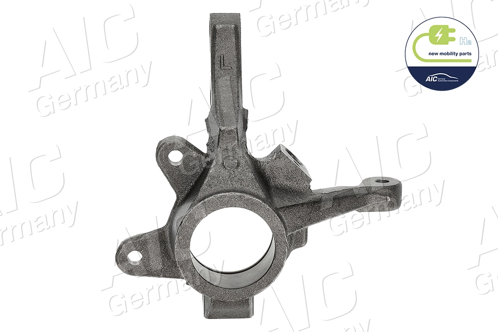 Цапфа - поворотний кулак передній, лівий Renault (RVI) 7700779270 ціна, від 38.60 USD