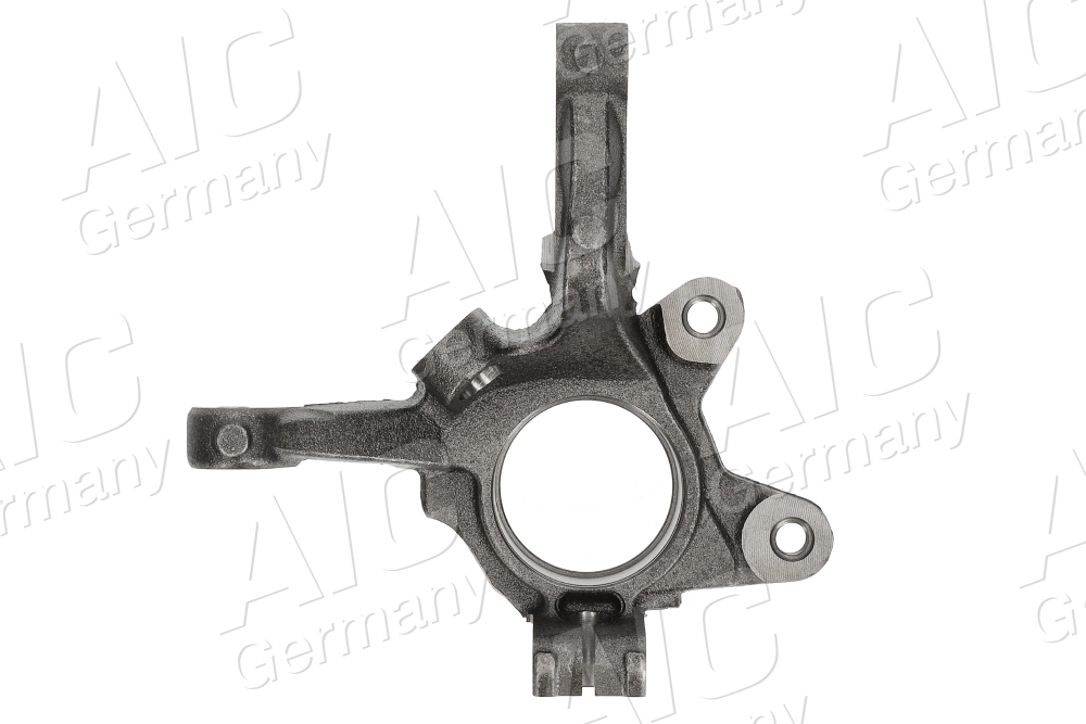 Купити 7700779270 Renault (RVI) Цапфа поворотного кулака