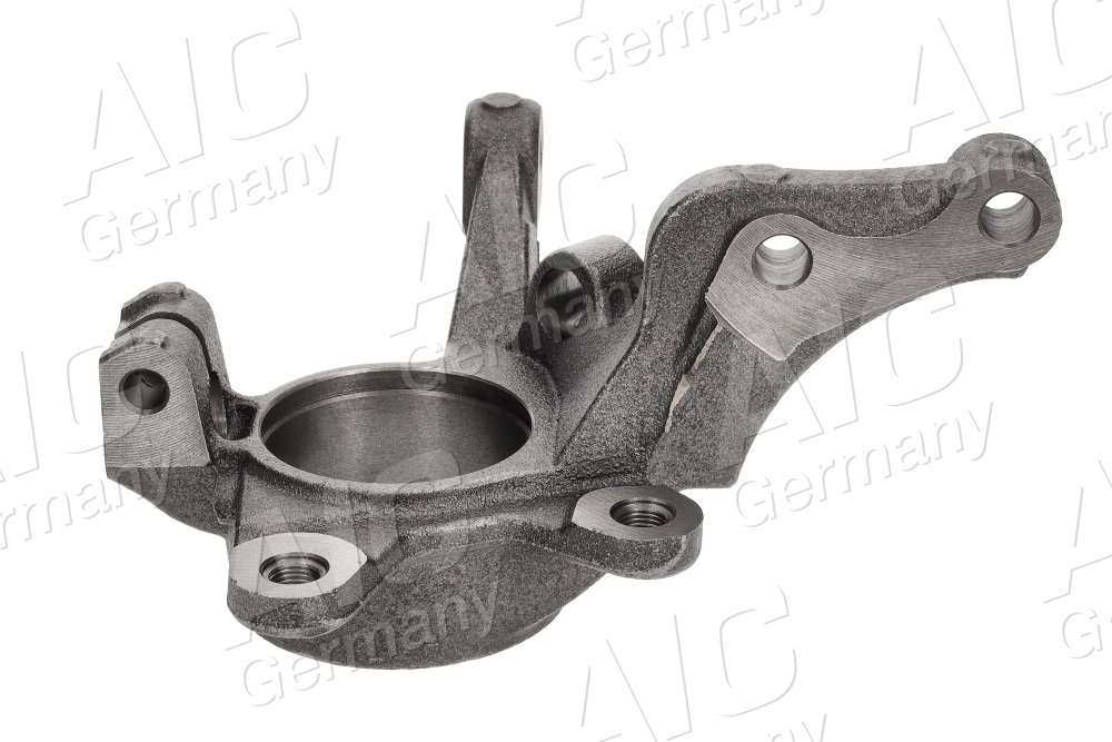 Купити 7700779270 Renault (RVI) Цапфа передня ліва