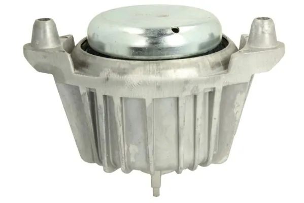 RH113034 Reinhoch Права подушка мотора