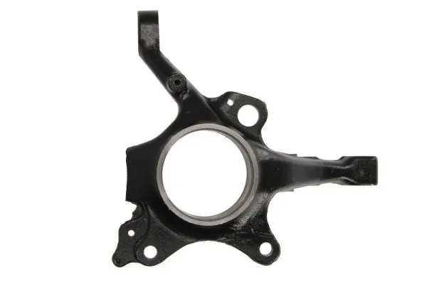 RH080042 Reinhoch Цапфа поворотного кулака