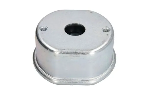 RH110029 Reinhoch 