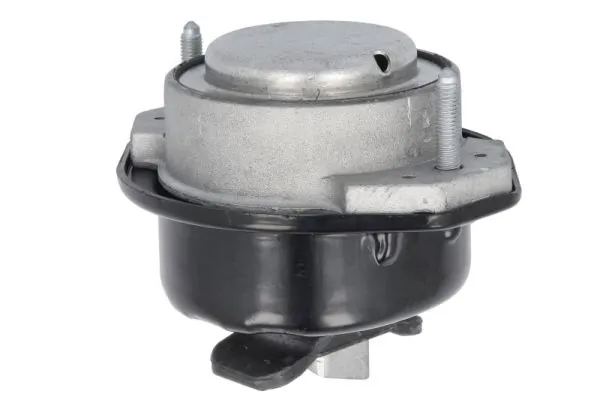 RH113109 Reinhoch Права подушка мотора