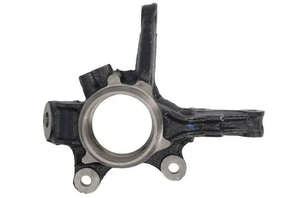 RH088034 Reinhoch Цапфа передні праві