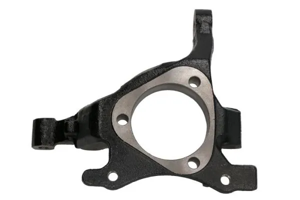 RH085003 Reinhoch Цапфа поворотна ліва