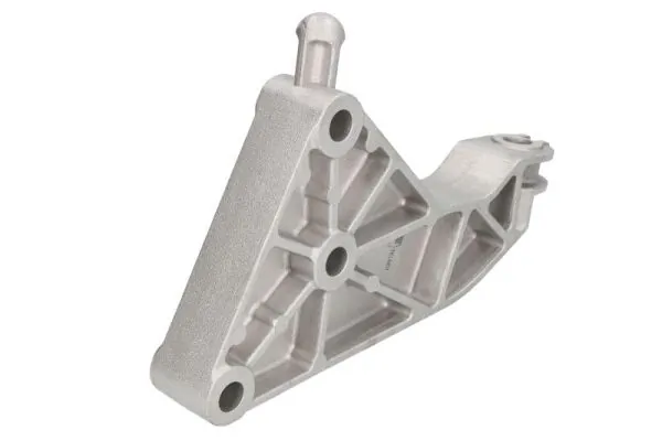 RH115092 Reinhoch Кронштейн подушки (опори) двигуна, задньої