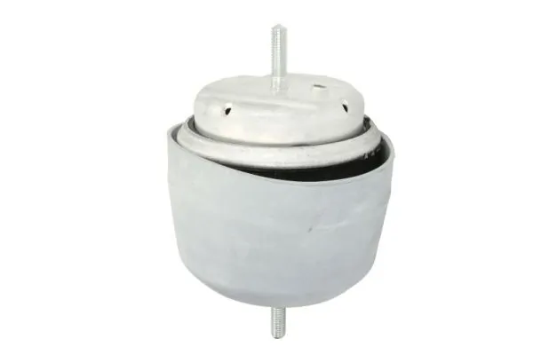 RH110017 Reinhoch Права подушка мотора