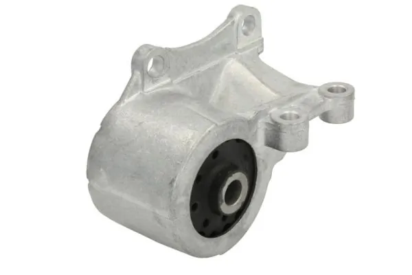 RH120013 Reinhoch Задня подушка двигуна