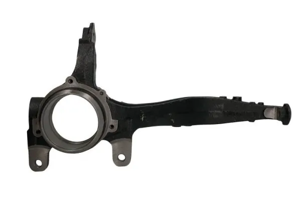 RH088026 Reinhoch Цапфа передні праві