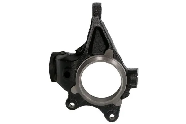 RH082029 Reinhoch Цапфа поворотна ліва