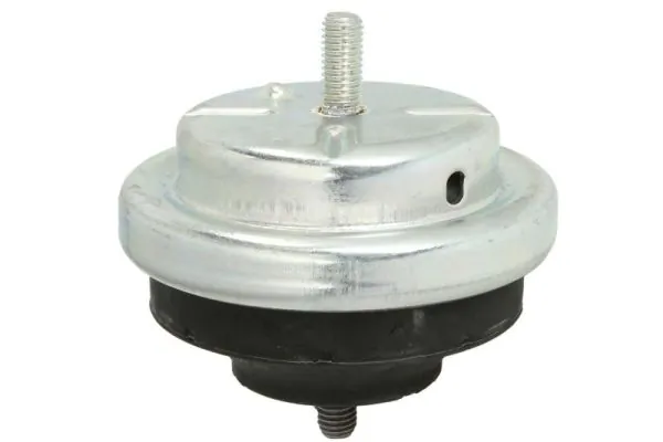 RH115000 Reinhoch Подушка (опора) двигуна, ліва/права