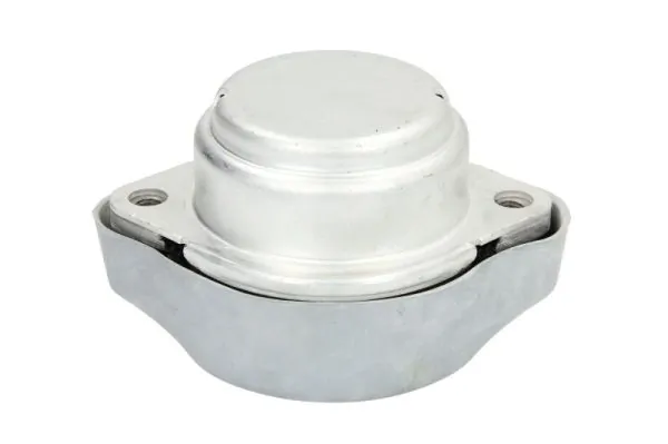 RH120025 Reinhoch Опора кпп