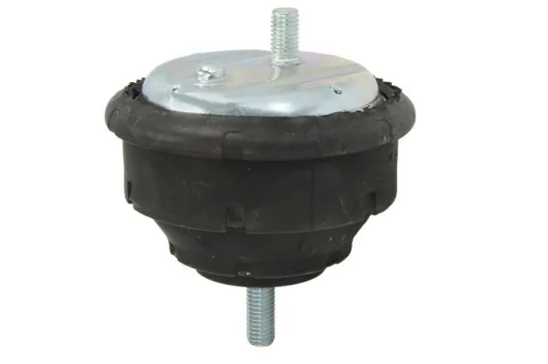 RH113005 Reinhoch Подушка (опора) двигуна, ліва/права